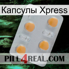 Капсулы Xpress 24